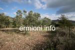 GL 0176 - Kabayianna Land - Fourni - Ermionida